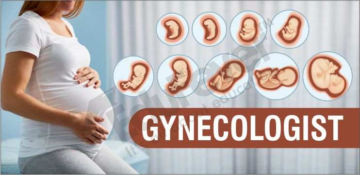 Career in Gynecologist in India – Courses, Jobs, Salary and Top Colleges