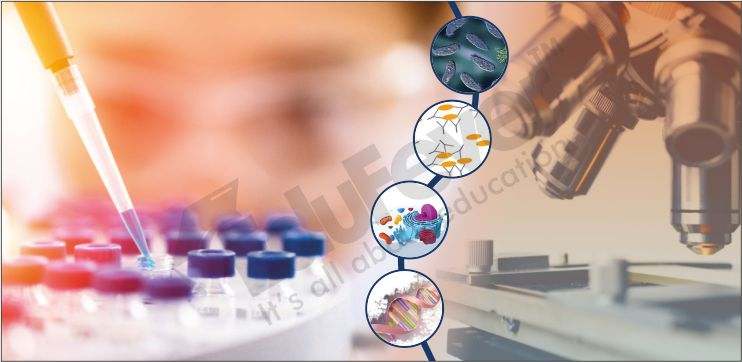 Career In Microbiology 2021 22 Course Jobs Salary Admission More career-in-microbiology-2021-22-course-jobs-salary-admission-more