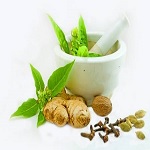 GA Ayurvedic College