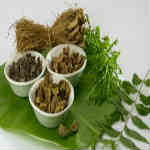 Government Ayurvedic College Burhanpur