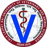 COVS Hisar, Hisar Veterinary College