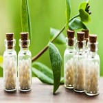 Utkalmani Homoeopathic College Rourkela Utkalmani Homoeopathic College Rourkela