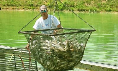 Fishery Technology:जलीय जीवो का अनदेखा संसार, करियर की दृष्टि से है खास