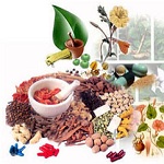 Harmony Ayurvedic College Punjab