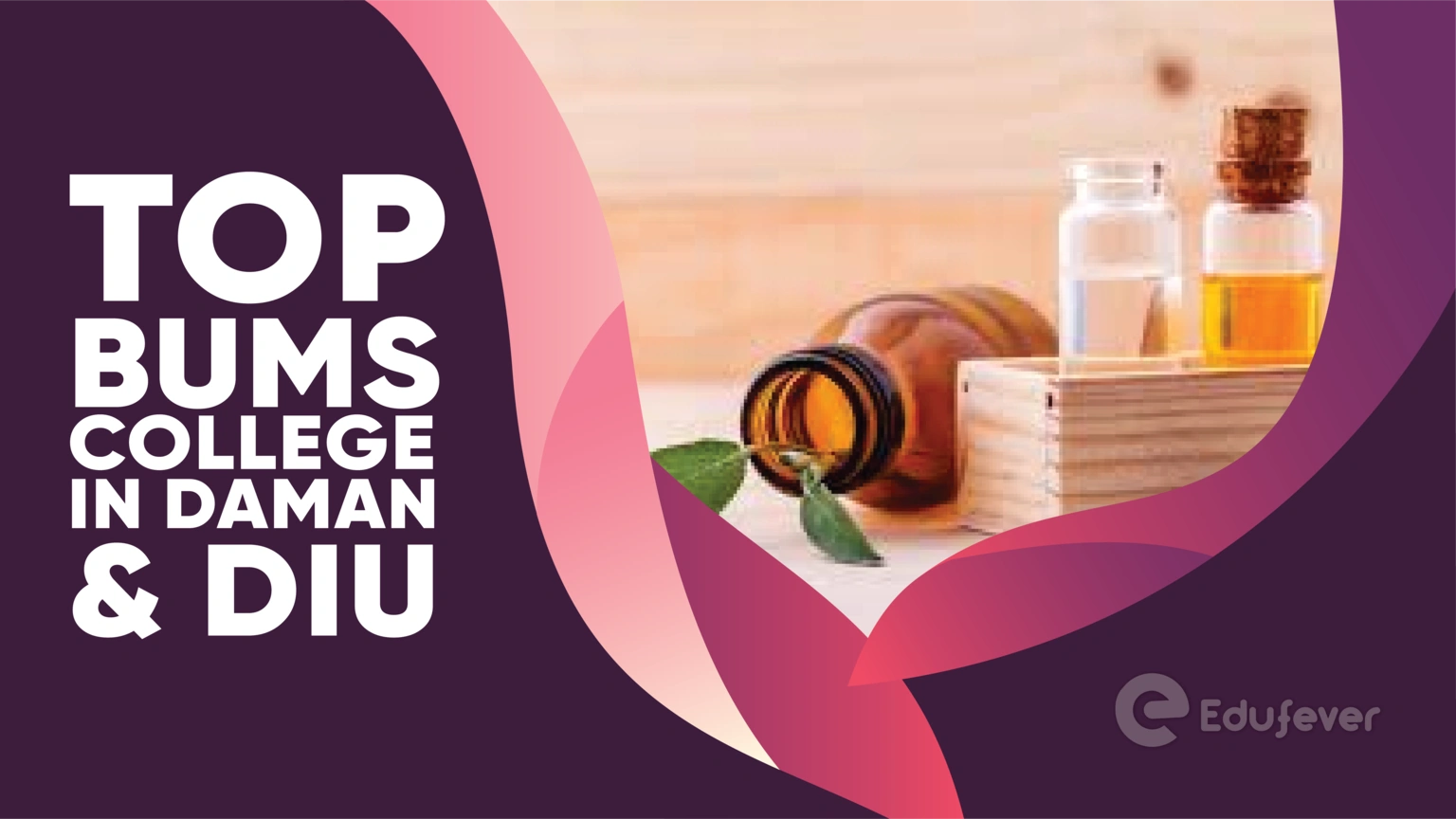 Top BUMS College in Daman & Diu