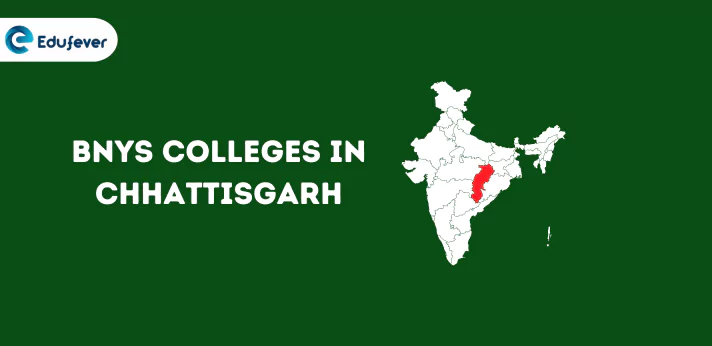 List of BNYS Colleges in Chhattisgarh