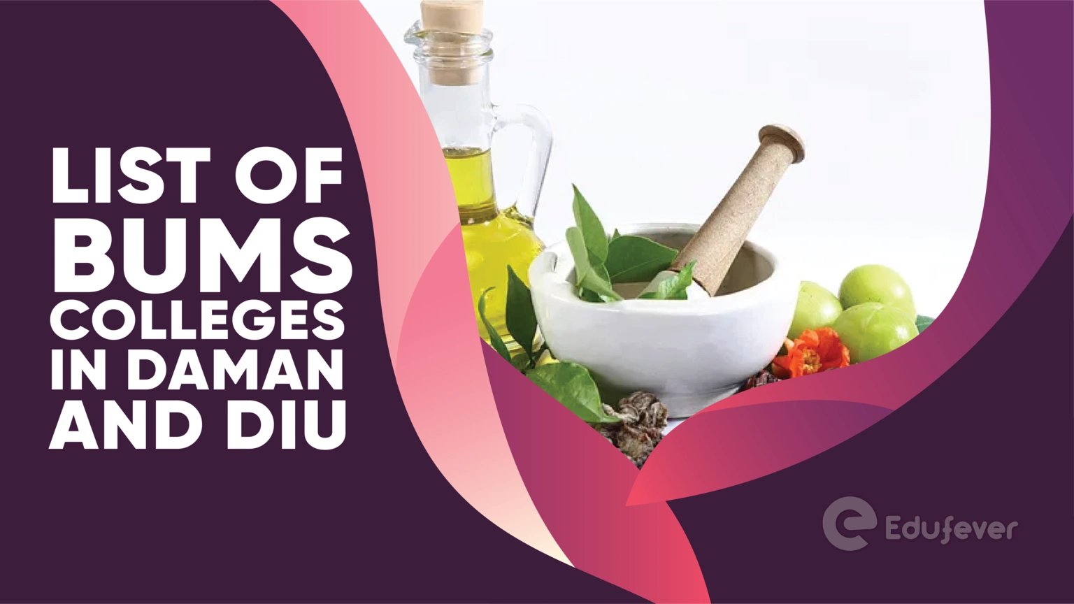 List of BUMS Colleges in Daman and Diu