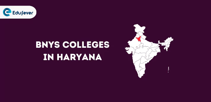 List of BNYS Colleges in Haryana