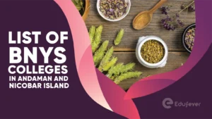 List of BNYS Colleges in Andaman and Nicobar Island