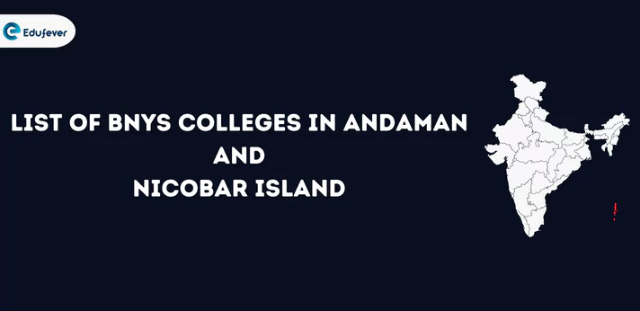 List of BNYS Colleges in Andaman and Nicobar Island