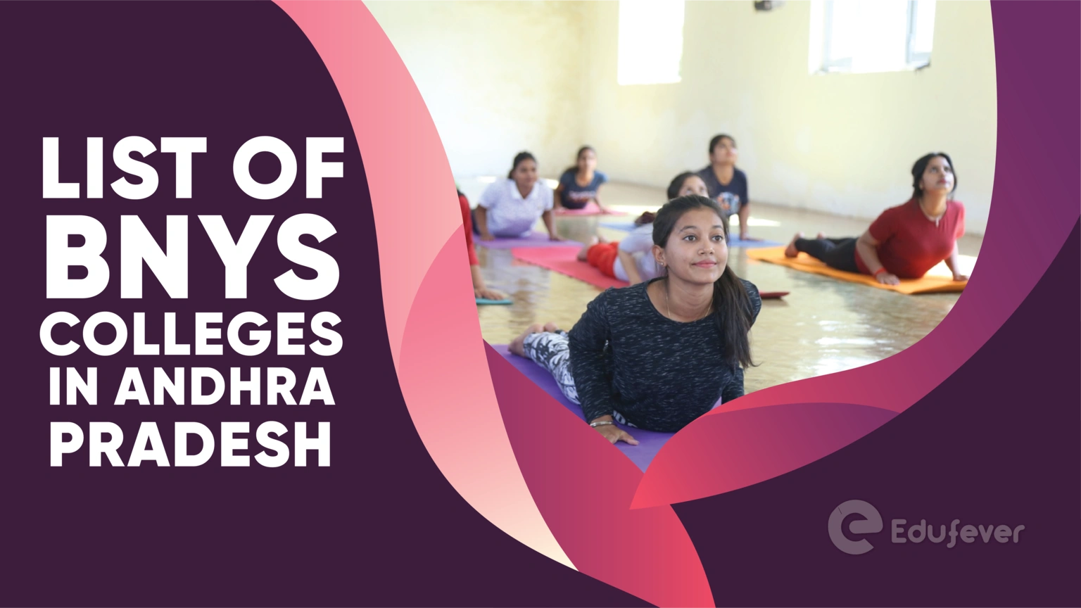 List of BNYS Colleges in Andhra Pradesh