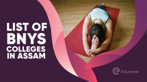 List of BNYS Colleges in Assam