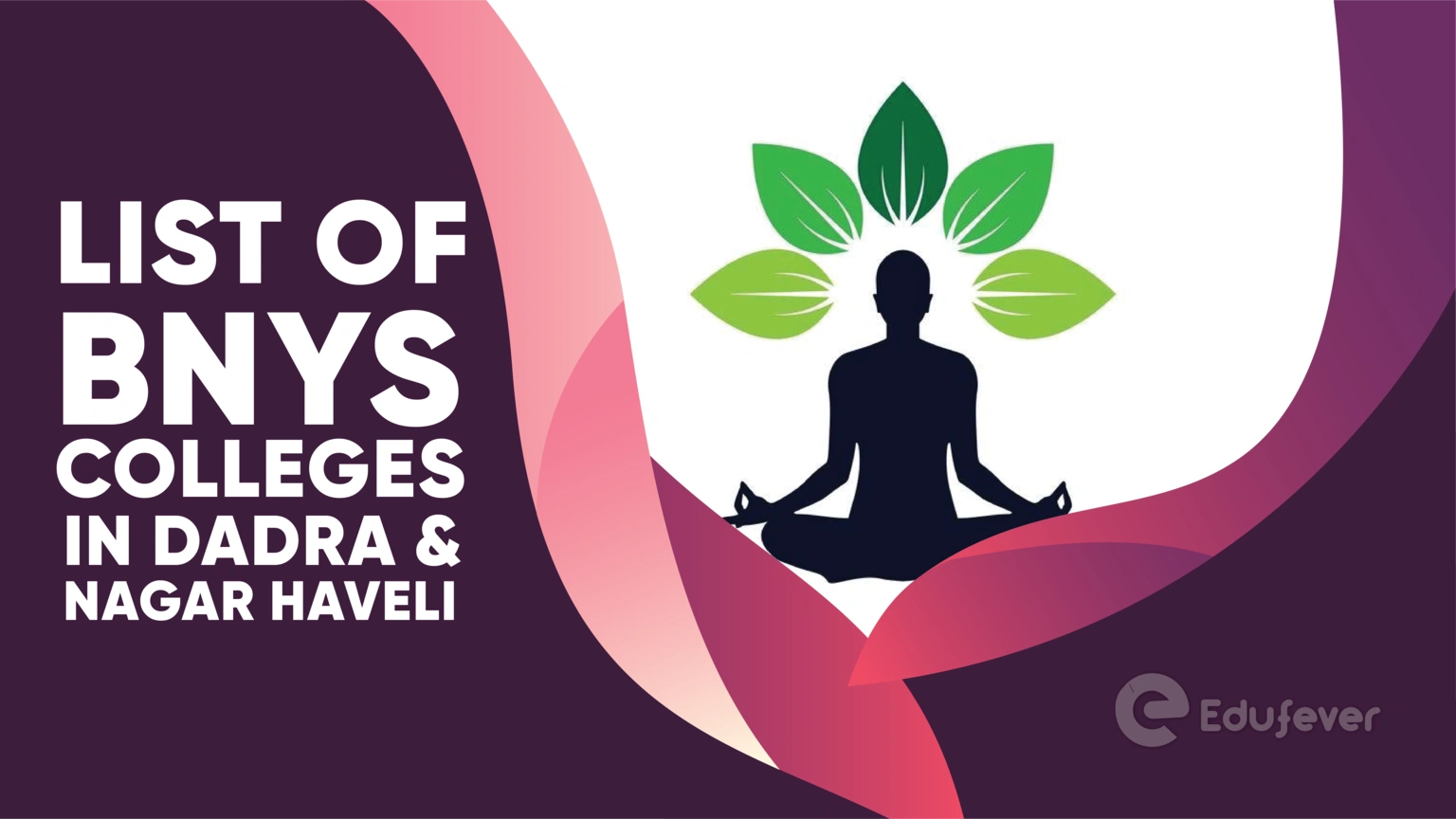 List of BNYS Colleges in Dadra & Nagar Haveli