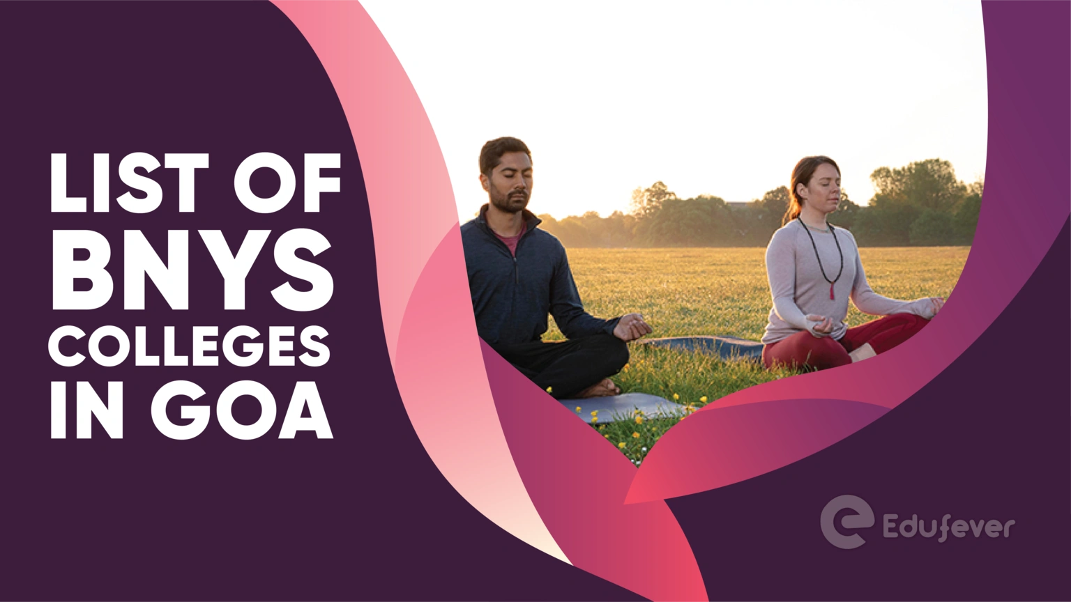 List of BNYS Colleges in Goa