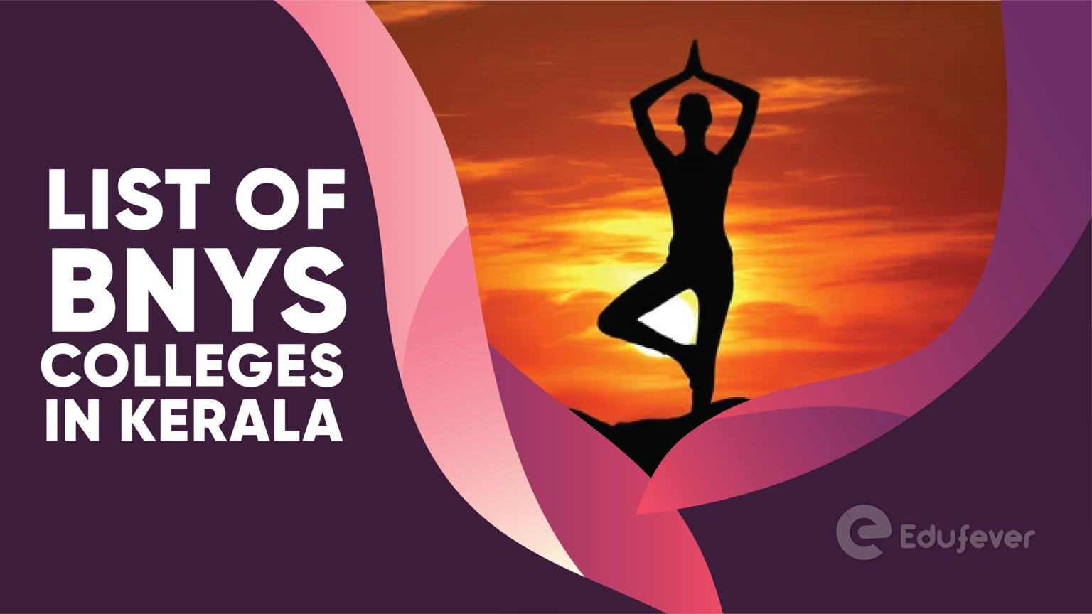 List of BNYS Colleges in Kerala