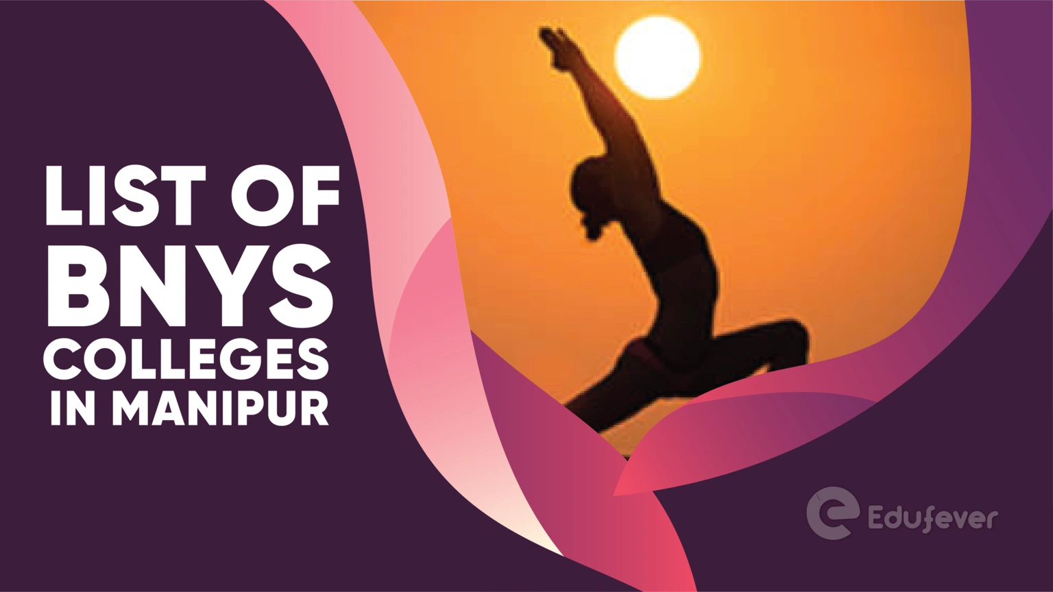 List of BNYS Colleges in Manipur