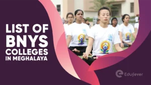 List of BNYS Colleges in Meghalaya