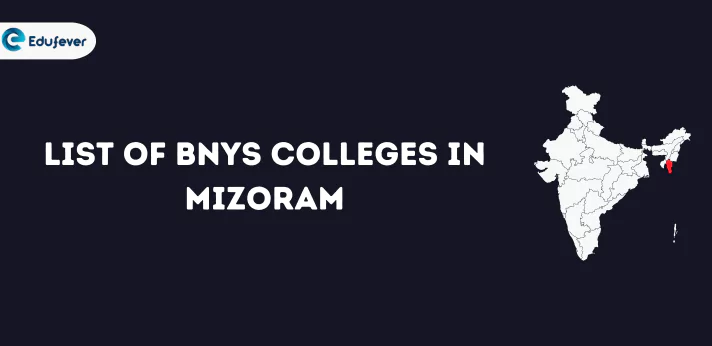 List of BNYS Colleges in Mizoram