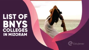 List of BNYS Colleges in Mizoram