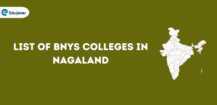 List of BNYS Colleges in Nagaland