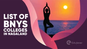 List of BNYS Colleges in Nagaland