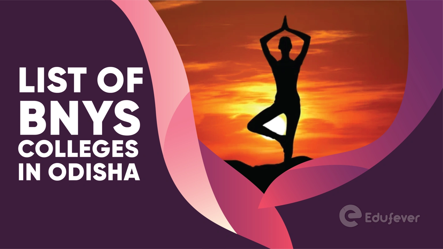 List of BNYS Colleges in Odisha