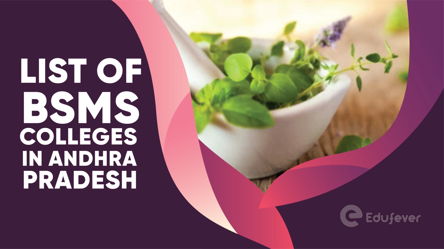 List of BSMS Colleges in Andhra Pradesh