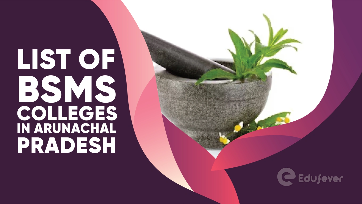 List of BSMS Colleges in Arunachal Pradesh