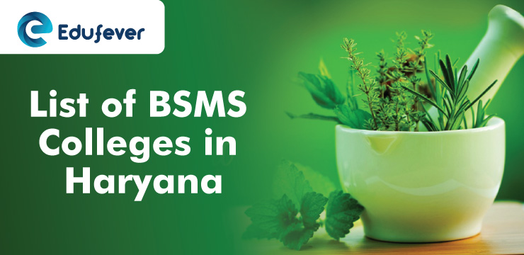 List-of-BSMS-Colleges-in-Haryana