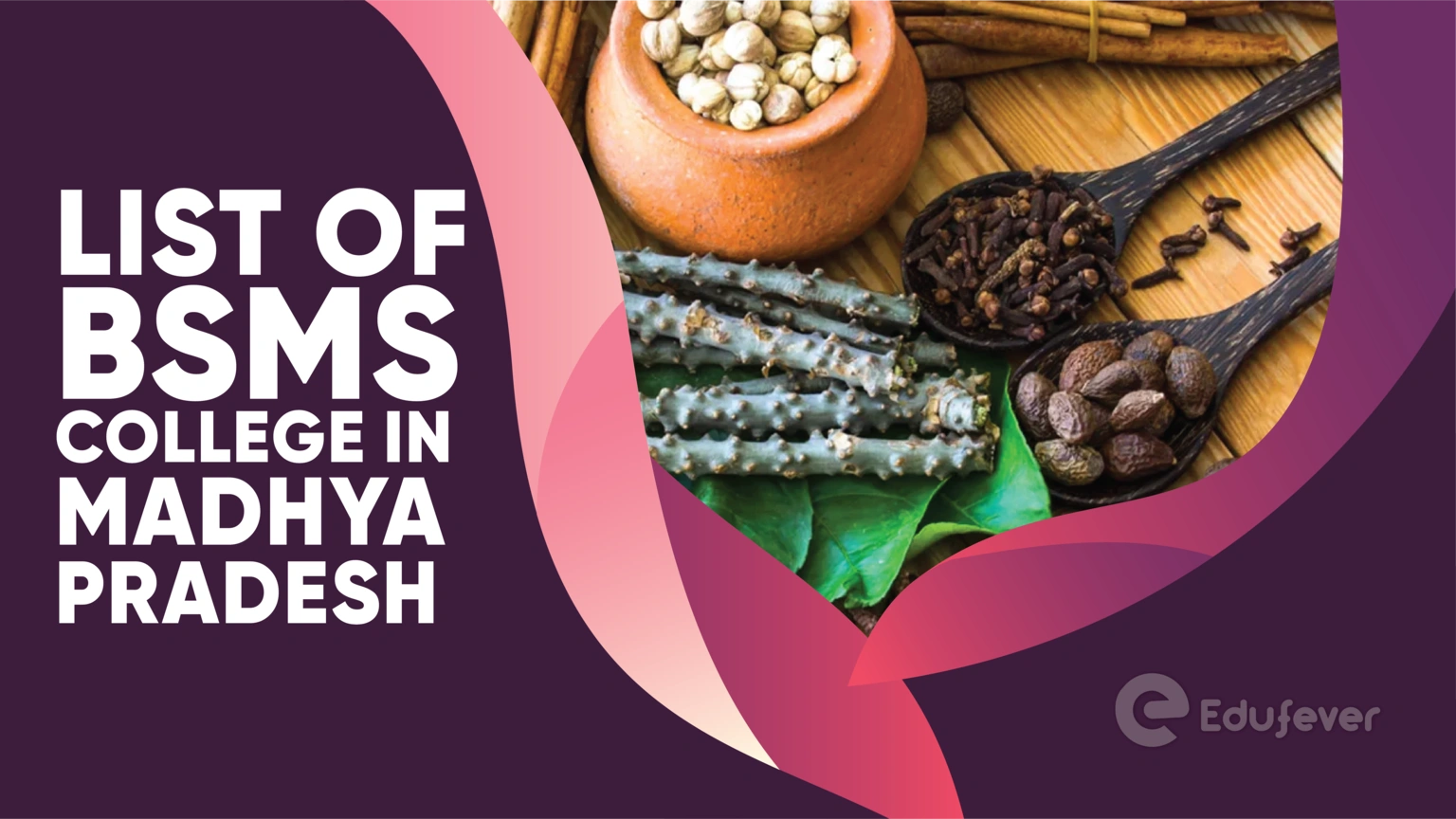 List of BSMS Colleges in Madhya Pradesh