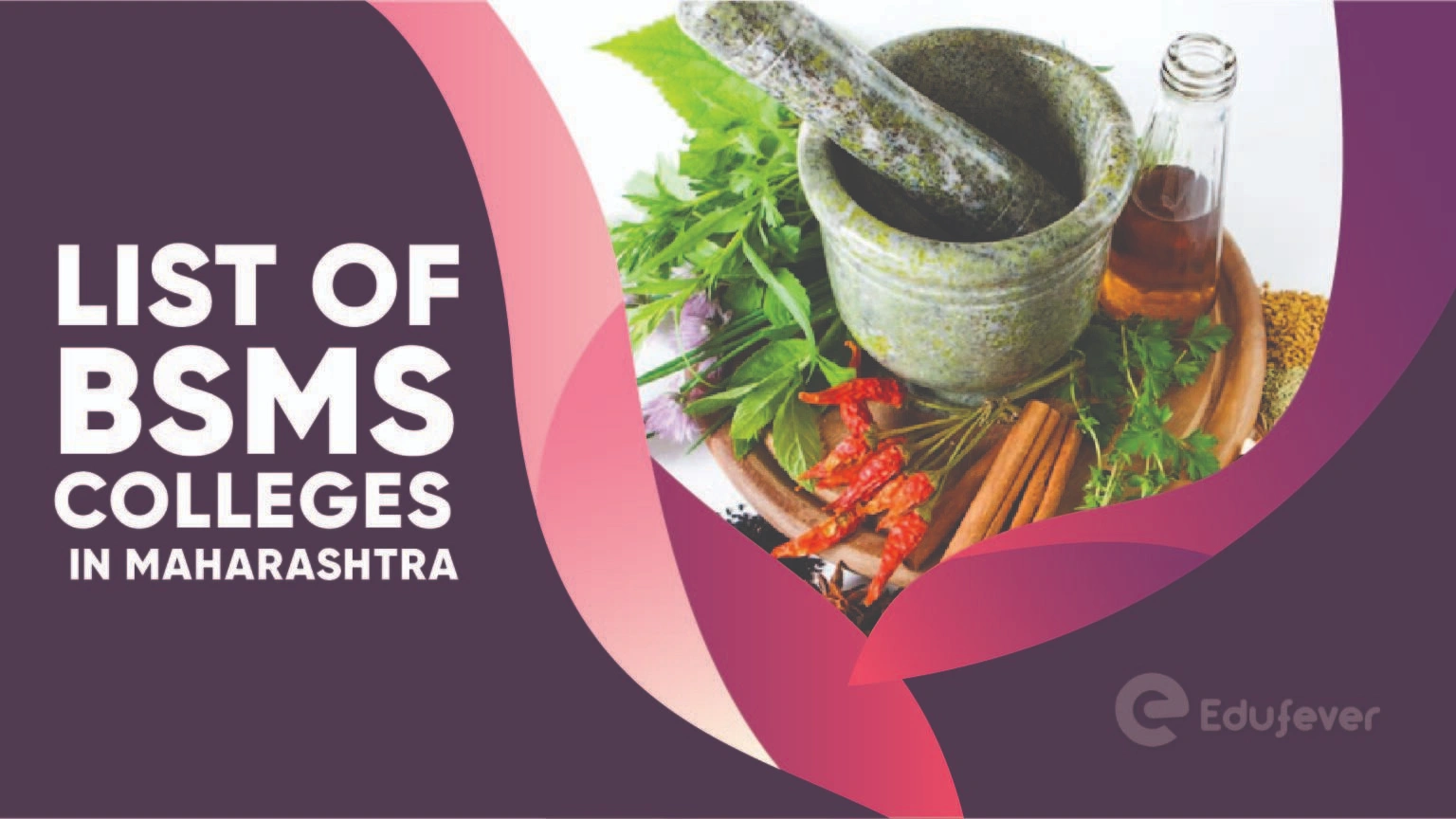 List of BSMS Colleges in Maharashtra