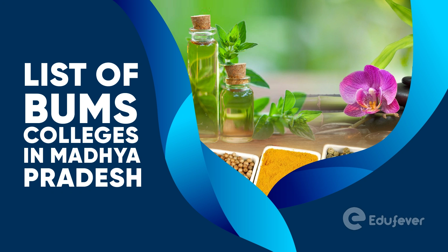 List of BUMS Colleges in Madhya Pradesh