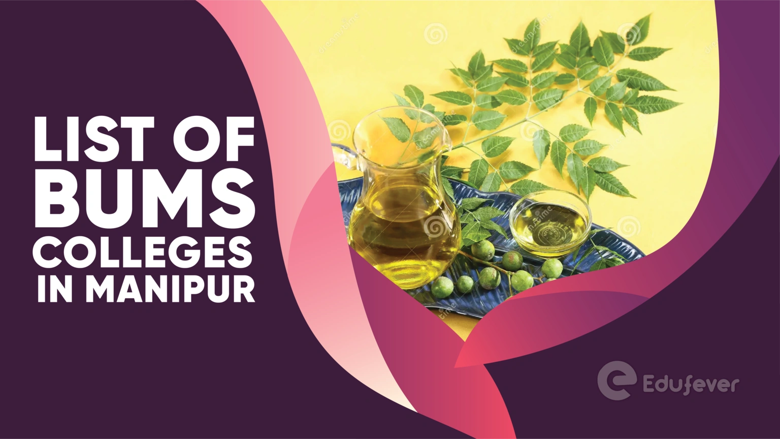 List of BUMS Colleges in Manipur