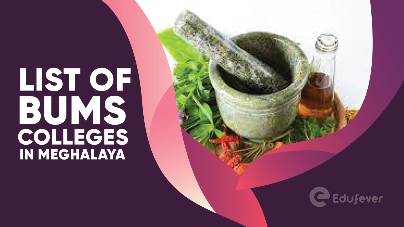 List of BUMS Colleges in Meghalaya