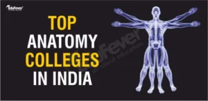 Top Anatomy Colleges in India