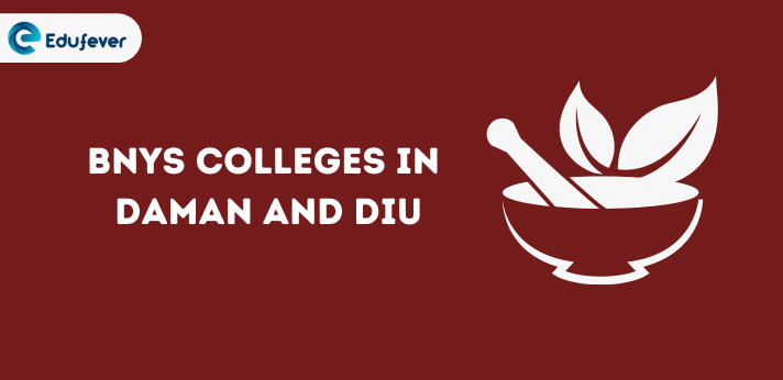 List of BNYS Colleges in Daman and Diu