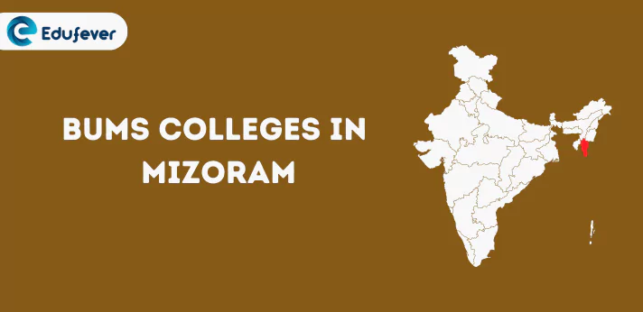 List of BUMS Colleges in Mizoram