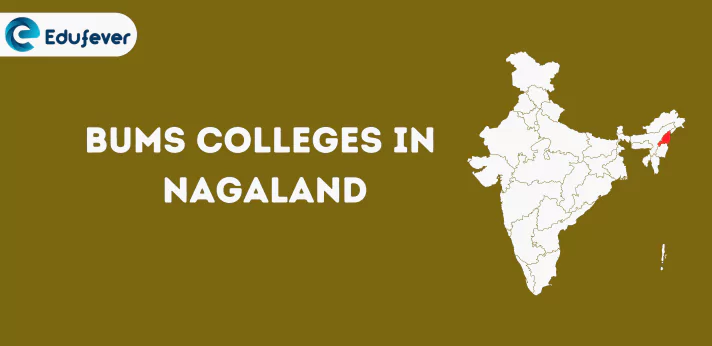 List of BUMS Colleges in Nagaland