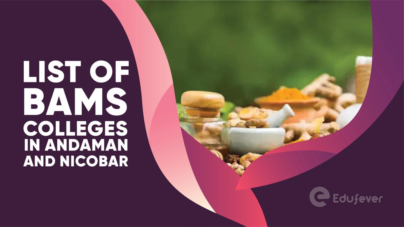 List of BAMS Colleges in Andaman and Nicobar