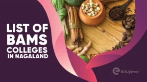 List of BAMS Colleges in Nagaland