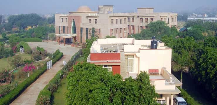Singhania university