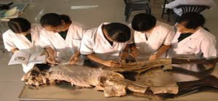 GSL Medical College Rajahmundry Practical