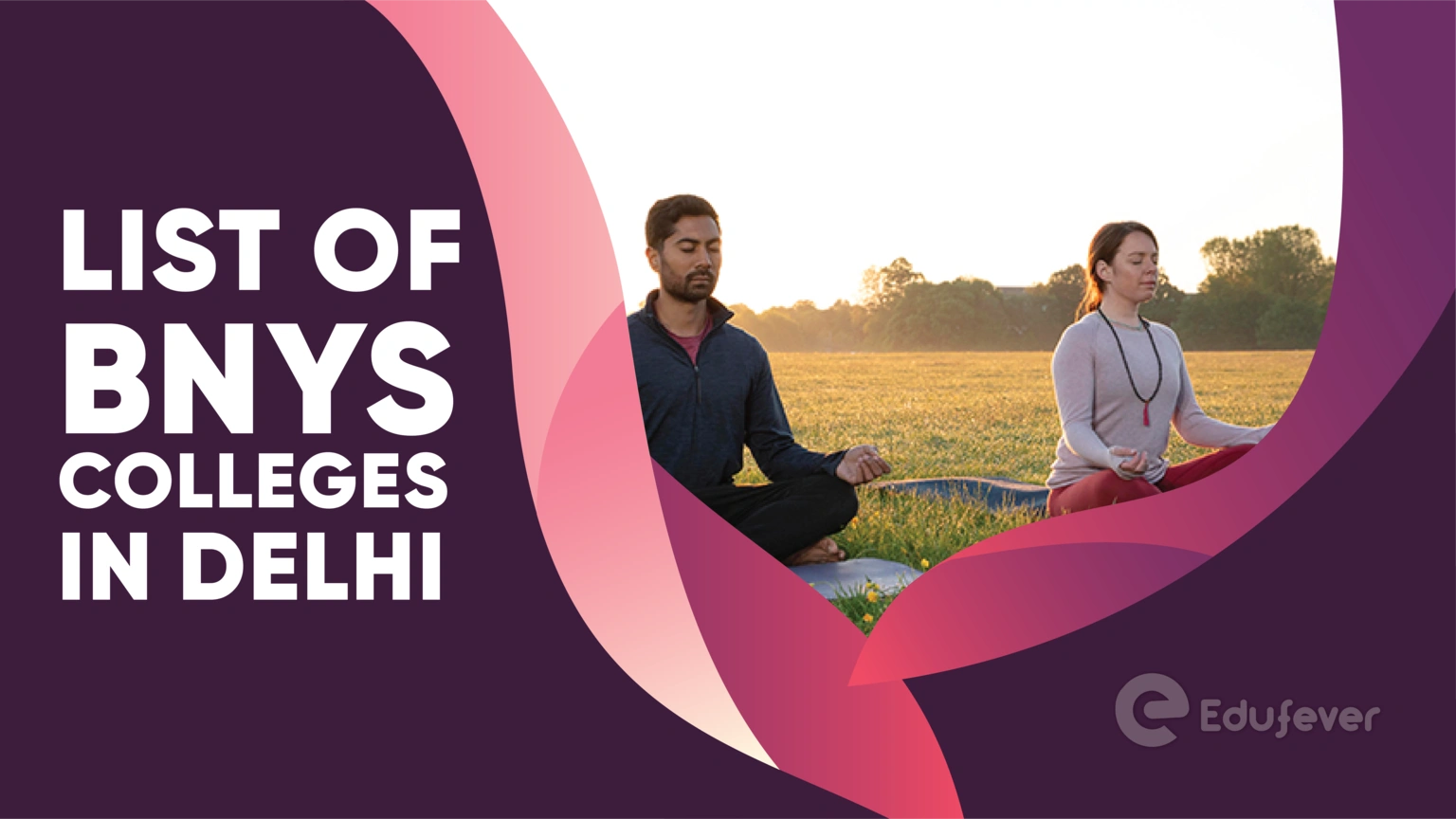 List of BNYS Colleges in Delhi
