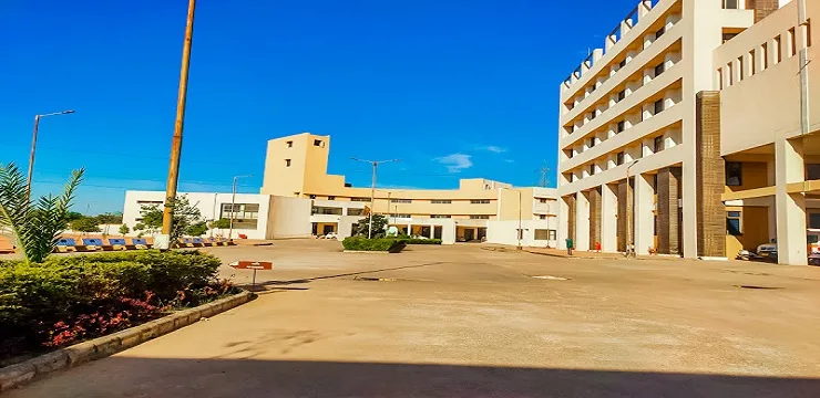 State Modal Institute of Ayurveda Sciences Gandhinagar