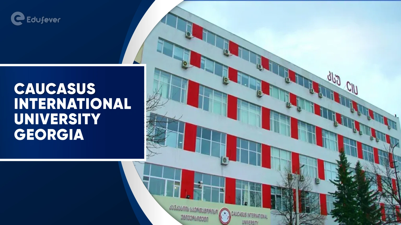 Caucasus International University Georgia