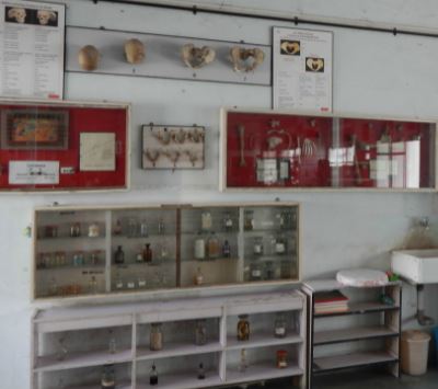 MGM Medical College Navi Mumbai Anatomy Museum