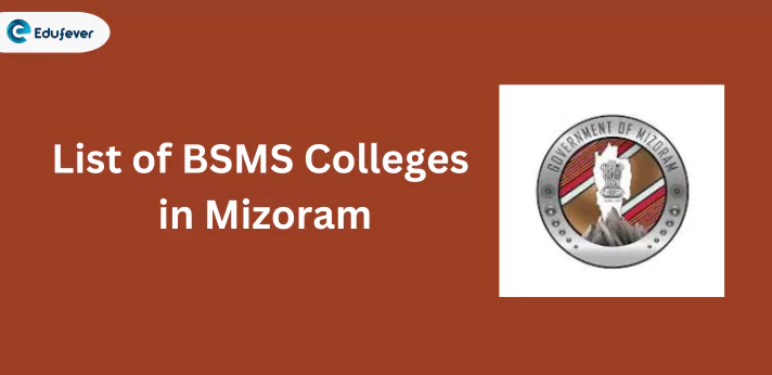 List of BSMS Colleges in Mizoram