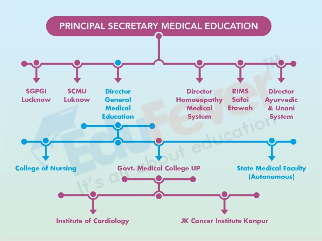 UPDGME Education Structure