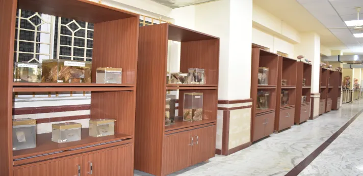 Sri Lalithambigai Medical College Museum