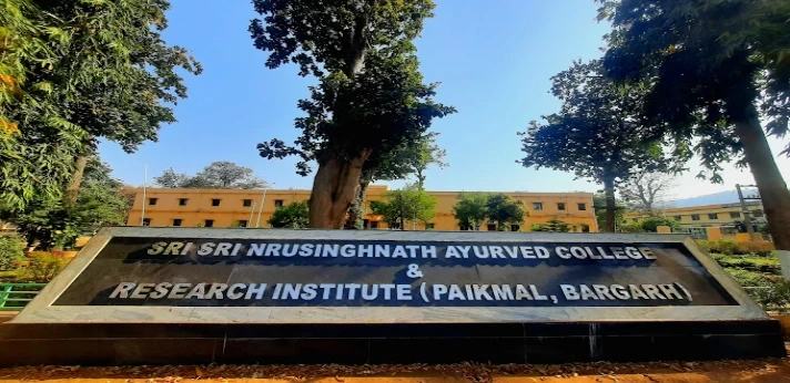Sri Nrusinghanath Bargarh College,